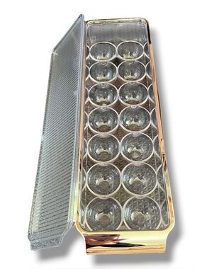 Clear Egg Storage Container Silver Chrome Accent Refrigerator Organizer